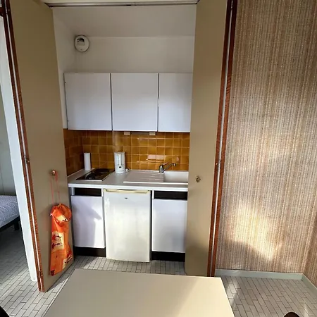 公寓 Avec Balcon Et Parking En Bord De - Fr-1-837-77 滨海阿热莱斯