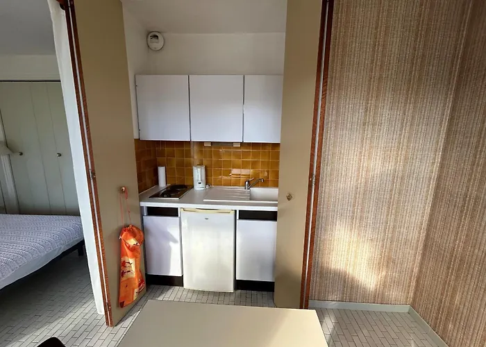 公寓 Avec Balcon Et Parking En Bord De - Fr-1-837-77 滨海阿热莱斯